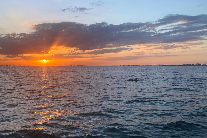Sunset and Dolphin Cruise around Fort Myers Beach - Photo 1 of 19
